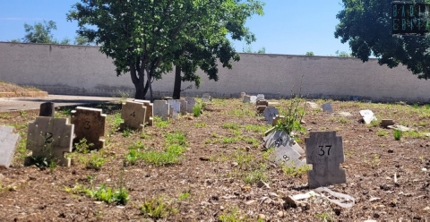 Il cimitero degli arti: dove mani e piedi amputati vengono sepolti in attesa della loro "ricongiunzione" 